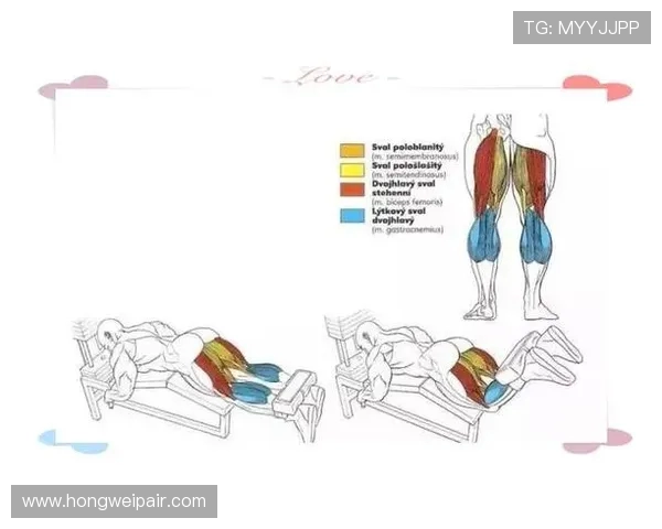 全面提升身体素质的健身指南 从基础动作到进阶训练的全方位解析 全面提升身体素质的健身指南 从基础动作到进阶训练的全方位解析