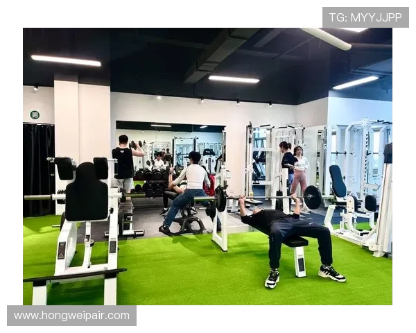 科学塑形全攻略打造健康体魄与强健身心的高效健身指南