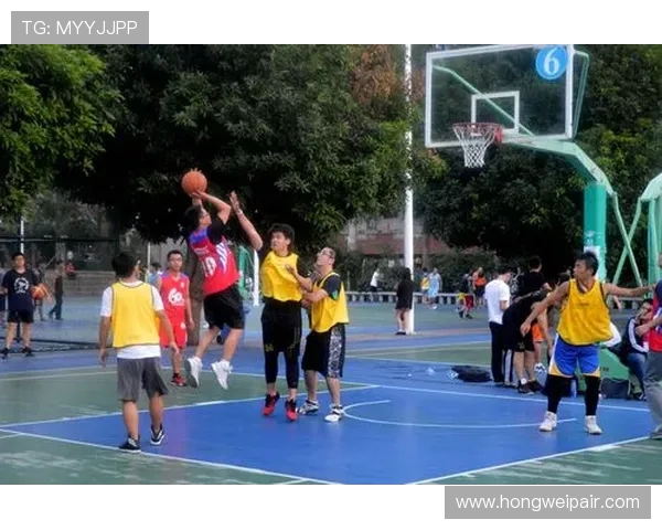 成都篮球队实力揭秘：从战术到球员全面剖析篮球巨献