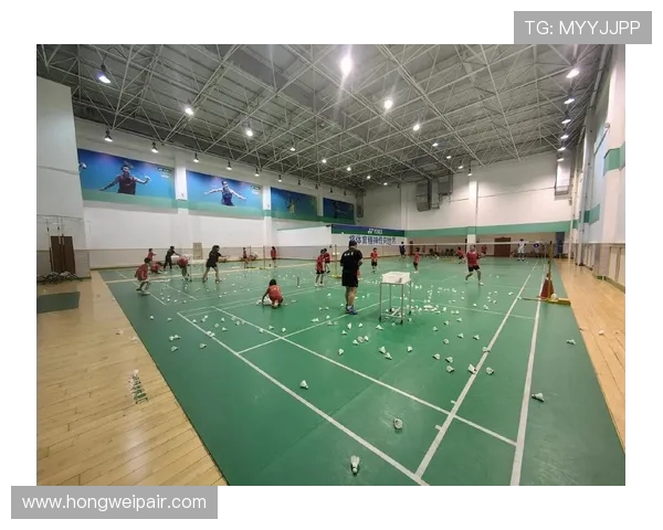 武汉羽毛球队的速度之美与训练秘辛探秘 武汉羽毛球队的速度之美与训练秘辛探秘